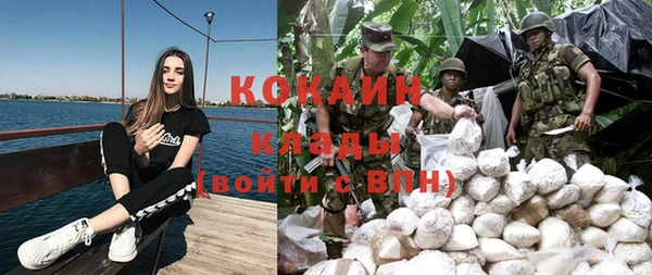 молекула духа Магадан