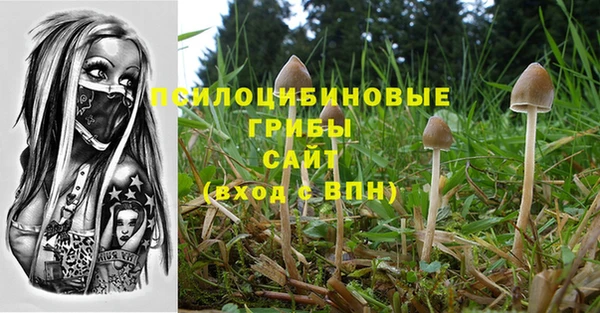 метамфетамин Майский