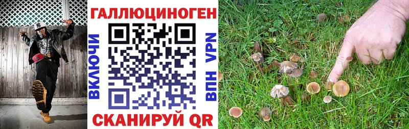 Галлюциногенные грибы Magic Shrooms  Архангельск 