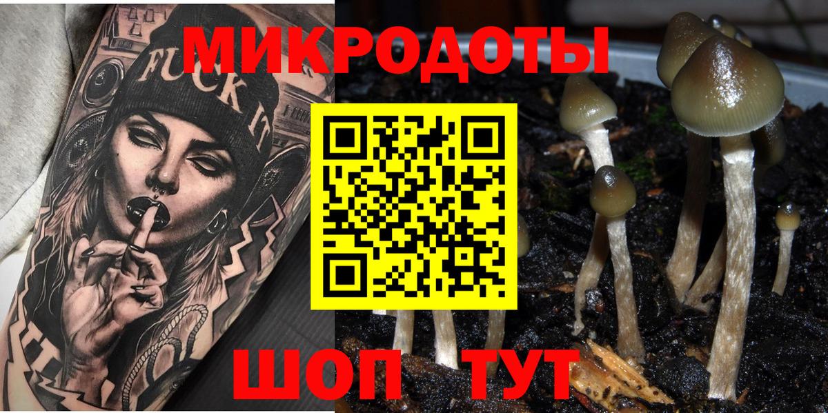 Галлюциногенные грибы Psilocybe Архангельск