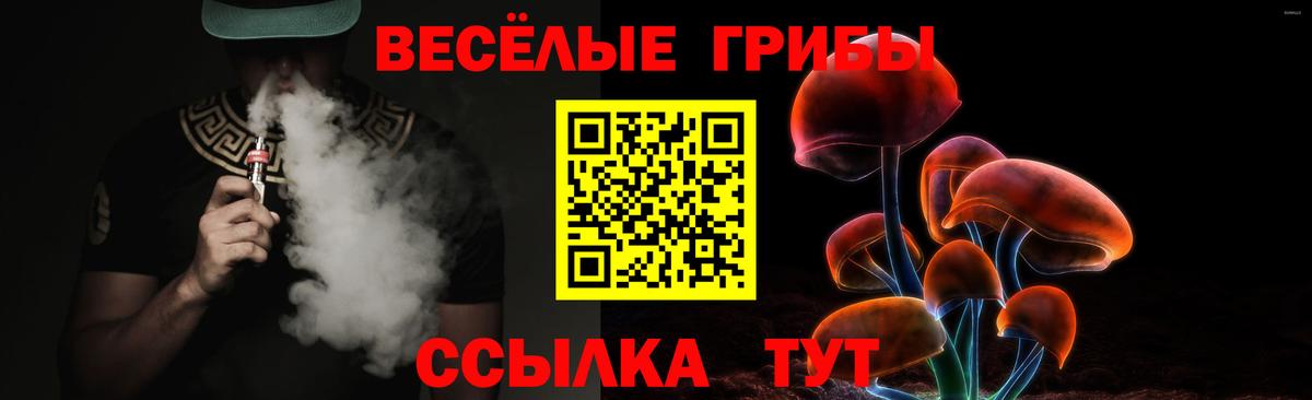Архангельск  Галлюциногенные грибы прущие грибы  Вход с VPN 