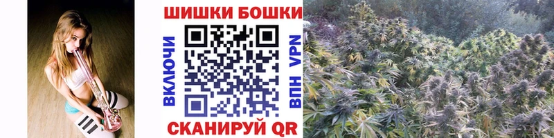 продажа наркотиков  Архангельск  Шишки марихуана White Widow 